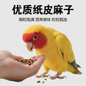Alimento para Aves de Compañía Fire Seed 400G, Origen Shandong, Suplemento Nutricional para la Salud de las Plumas y el Cuidado Digestivo - Product Image 2