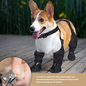 Sepatu Anjing Fishprincess Desain Baru dengan Celana Legging Anti Air, <span class=keywords><strong>Harness</strong></span> Anti Kotor, Aksesoris Pakaian Hewan Peliharaan - Product Image 4