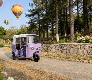 Vente directe d'usine chinoise, <span class=keywords><strong>meilleur</strong></span> prix, tricycle électrique, E-Trike, deux rangées - Product Image 2