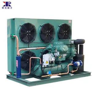 cold room air cooled condensing refrigeration unit 25HP