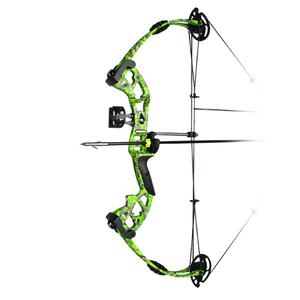 Arc à Poulies Composite Réglable 30-70 Lbs - Ensemble Chasse