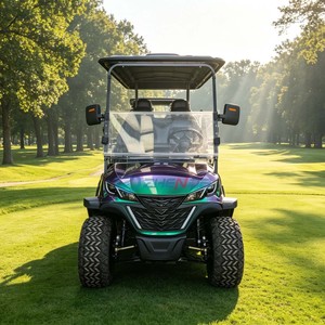 Voiturette de golf électrique personnalisée multicolore, moteur 3,5 kW, longue portée, haute performance, écologique, fiable, professionnelle, multifonction - Product Image 4