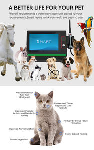 Klasse 4 980nm 30W 60W Medische Veterinaire Lasertherapie Voor Paardenhonden Pijn Fysiotherapie Apparatuur - Product Image 6