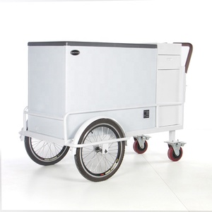 Di alta qualità Freezer bici gelato Trike 250w motore Freezer triciclo elettrico di carico per il Business Mobile - Product Image 2