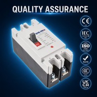 Protecteur solaire de protection contre les surintensités précises de qualité supérieure 63a 80a 100a 125a Dc500v Mccb disjoncteur à boîtier moulé