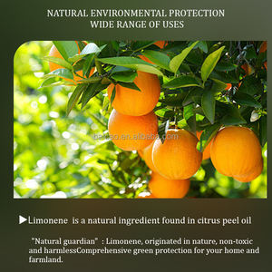 Aceite Esencial 100% Puro y Orgánico <span class=keywords><strong>de</strong></span> Planta Natural <span class=keywords><strong>de</strong></span> Naranja Dulce, Árbol <span class=keywords><strong>de</strong></span> Té y Menta, 1 Litro para Difusor, Masajes, Cuidado <span class=keywords><strong>de</strong></span> la Piel, Velas y Jabones - Product Image 2