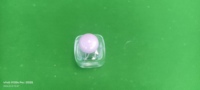 Flacon de parfum vide en verre épais carré et arrondi avec bouchon à bille en plastique, vaporisateur cosmétique portable