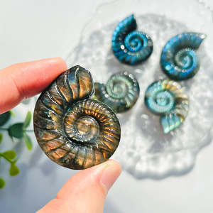 Offre Spéciale : Coquille de Labradorite Naturelle en Forme d'Escargot, Artisanat en Cristal, Énergie Guérisseuse, Effet Bleu Scintillant, Idéale pour Cadeau - Product Image 4