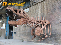 Décoration murale MY DINO DS-159, squelette de T-rex réaliste fait main, demi-corps