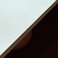 Panneau mural moderne en PVC alvéolé, étanche, sans joint, grand format, décoratif, ignifuge, isolant thermique, suspendu, pour usage domestique