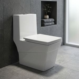 WC monobloc en céramique style indien Twyford, chasse d'eau Cyclone, réservoir encastré, double chasse, siphon en S - Product Image 2