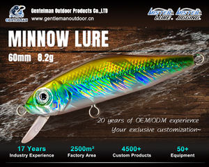 Señuelo de Pesca MISTER LURE, 8.2g, 60mm, Minnow de Plástico con Fuerte Reflejo Holográfico, Ojos 3D Vívidos, Cebo Duro - Product Image 4