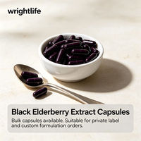 Capsules d'extrait d'églantier noir, complément alimentaire à base de plantes, formule personnalisée sous marque privée, pour adultes, fabrication OEM, approvisionnement en gros