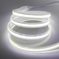 Bande LED COB étanche IP65 220V haute tension 2700K-6000K 288 LED/M, installation facile, sans driver, CE, pour aménagement paysager