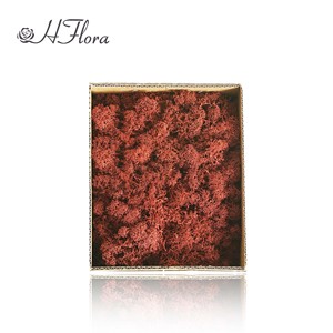 제조업체 도매 생산 순록 코어 이끼 (혼합 색상) 황금 공급 업체 도매 보존 이끼 장식 - Product Image 2