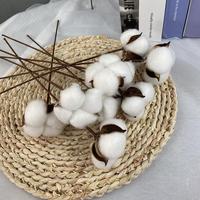 Penjualan Panas Buket Bunga Abadi Katun Buatan Tangan Kering Satu Tangkai Ramah Lingkungan untuk Dekorasi Rumah Natal Pernikahan.