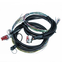 Harnais de câblage industriel électronique personnalisé pour usine professionnelle, avec connecteurs Molex et JST, pour appareils électroménagers, en caoutchouc, IP66
