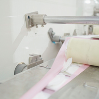 Machine à serviettes hygiéniques DNW