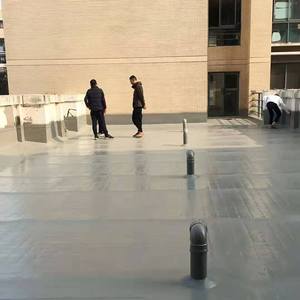 Revêtement imperméable en polyurée par pulvérisation sans solvant le plus vendu <span class=keywords><strong>au</strong></span> <span class=keywords><strong>prix</strong></span> nominal - Product Image 5