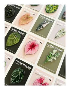 مغناطيسات ثلاجة لطيفة على شكل نباتات البيغونيا والمونستيرا، مغناطيسات ثلاجة على شكل نباتات استوائية كاواي، ملصقات للسبورة البيضاء - Product Image 5