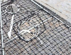 Promotion : Nasse d'aquaculture 60 x 60 cm, petite nasse carrée pour homards et coquillages - Product Image 4