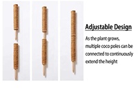 Poteau de soutien durable en fibre de coco pour plantes grimpantes de maison et de jardin - Bâton de mousse pour extension de jardinage