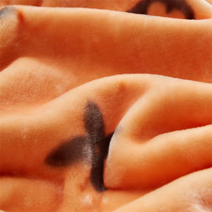 ที่กําหนดเองราคาถูกขายส่งไมโครไฟเบอร์ปะการัง Flannel ขนแกะโยนผ้าห่มนุ่มและหนาความอบอุ่นผ้าห่มท่องเที่ยวสําหรับเตียงโซฟา - Product Image 4