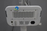 EUR VET-Máquina de láser fraccional portátil Co2 para rejuvenecimiento de la piel, eliminación de cicatrices, eliminación de verrugas, equipo de belleza láser vaginal