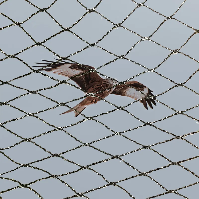 Landwirtschaft liches Anti-Vogel-Netz Weinberg Obstgarten Schutz vögel Jagd schutz netze Anti-Vogel-Netz für Fischteich Landwirtschaft