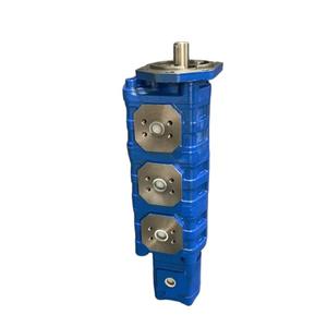 Pompe à engrenages hydraulique Huamao 1115133632 pour la plateforme de forage Quanke 400 |   Remplacement OEM haute pression - Product Image 6