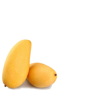 ผงมังคุด95% สารสกัดจากมะม่วง - Product Image 4