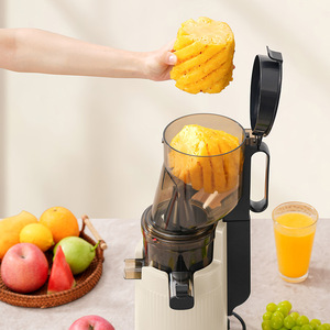 Frullatore Multifunzione da 2000ML con Lama in Acciaio Inox per <span class=keywords><strong>Cucina</strong></span>, Mixer Portatile per Frutta e Verdura, per Uso Esterno e Camper - Product Image 2