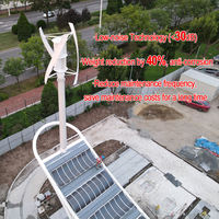 Éolienne verticale à haut rendement pour toiture 1 kW 3 kW 5 kW 48 V 96 V