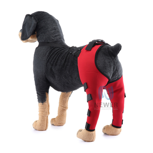 Özel yaralanmalar burkulma artrit kaybı ekstra büyük Pet köpek ön arka bacak sıkıştırma bilek koruyucu kollu - Product Image 5