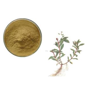 Eclipta Alba Extract India Bulkvoorraad Van Premium Kwaliteit Met Gestandaardiseerde Bioactieve Stoffen Voor Cosmetische Toepassingen En Gezondheidsproduct - Product Image 2