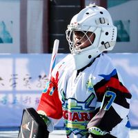 Casque de protection sportif professionnel pour gardien de but de hockey sur glace et patinage à roulettes pour enfants, jeunes et adultes (tailles S, M, L)