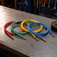 Kabel Tembaga Berisolasi PVC Inti Tunggal untuk Panel Distribusi, Peralatan Industri, Sistem Komputer, dan Gulungan Kabel
