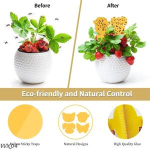 Venta directa de fábrica, trampas adhesivas amarillas, trampas para matar moscas de frutas para insectos voladores <span class=keywords><strong>con</strong></span> diferentes formas - Product Image 5