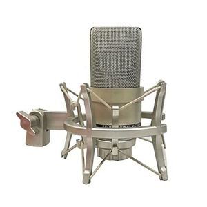 Professional Wired Metal Condenser <b>Microphone</b> Noise-Cancelling Studio Recording Live Broadcast Podcast Mic - Product Image 1