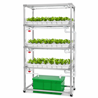 Système hydroponique NFT en aluminium pour herbes aromatiques avec roues, système hydroponique NFT à 3 niveaux pour épinards avec pompe, support NFT