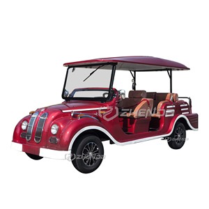Voiture de tourisme électrique classique vintage à basse vitesse avec 8 sièges, navette de luxe - Product Image 1