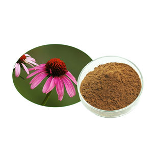 Ekstrak Faitury grosir <span class=keywords><strong>Echinacea</strong></span> purpurpurea acoechinside 4% UV - Product Image 3