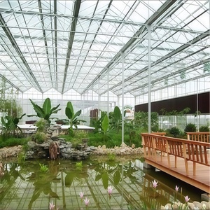 Serre en verre pour la culture des carottes, irrigation de précision et conception de sol aéré, rendement élevé en racines - Product Image 5