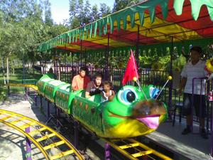 Hot Sale China Factory Amusement Park Rides Worm <strong>Roller</strong> <strong>coaster</strong> for Sale - Product Image 5