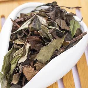 Fuding Old White Tea Natural Baicha From Fujiang Province White Tea Shoumei With Bulk Healthy Slimming Tea