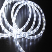Guirlande lumineuse flexible colorée pour Noël, lumières de fée en tube, décoration de festival, IP67