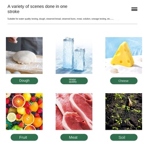 Medidor de acidez de bollo al vapor de masa de alta precisión, medidor de PH líquido, carne, alimentos, pH, detector dos en uno - Product Image 3