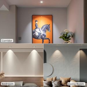 Ecolux 12W Downlight LED Ajustable Corps en aluminium <span class=keywords><strong>noir</strong></span> Cob <span class=keywords><strong>Spot</strong></span> 3500K IP20 Embedded Cob Spotlight Encastré Design - Product Image 6