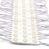 Module LED à injection givrée certifié ROHS IP65 6011 6013 12V DC 3pcs SMD2835 1.5W Blanc chaud pour éclairage extérieur
