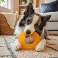 Jouet à mâcher interactif pour chien TPR avec anneau couineur, design classique moderne, pour le nettoyage des dents, disponible